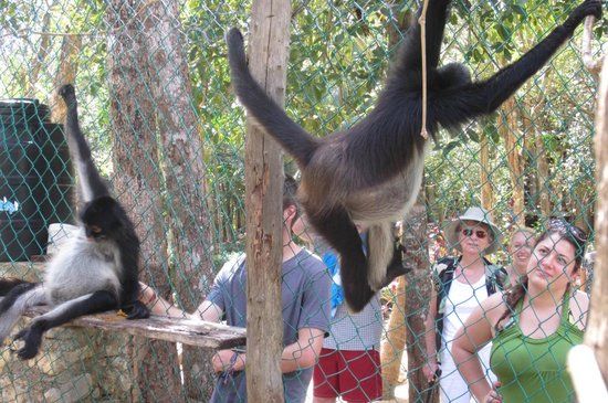 Zona Arqueológica de Tulum